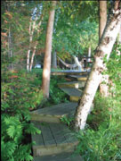 Path between deck and dock