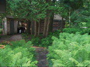Path to Guest House
