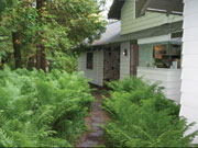Back of cottage