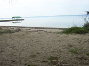 From edge of trees looking south